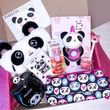 Panda Box / Панда боксы