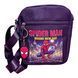 Подарунковий бокс для хлопчика з футболкою Спайдермен Spider-Man: Brand New Day &mdash; Людина-павук