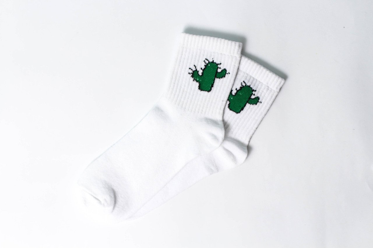 Шкарпетки жіночі Кактуси 36-40